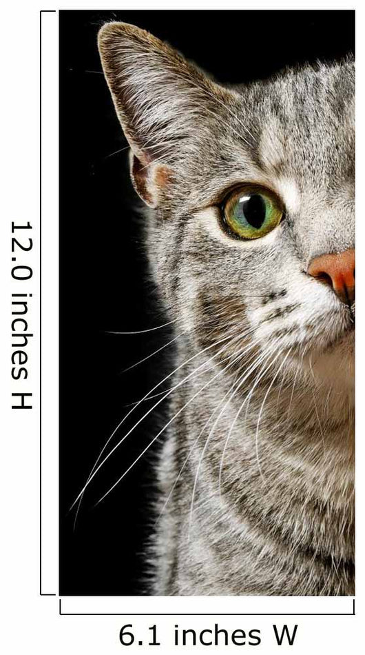 Green Cat Eyes Wall Decal