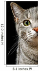 Green Cat Eyes Wall Decal
