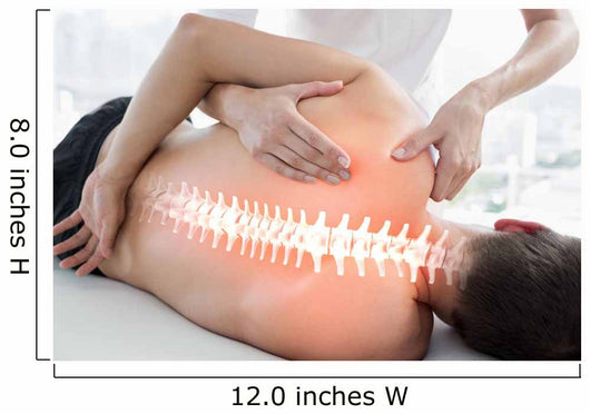 Highlighted Bones Man Physiotherapy Wall Decal