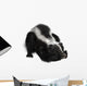 Skunk Wall Decal