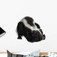 Skunk Wall Decal