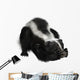 Skunk Wall Decal