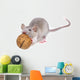 Mouse Eating Nut Wall Decal