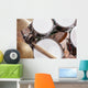 Drumsticks Drums Wall Decal