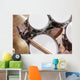 Drumsticks Drums Wall Decal