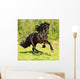 Black Frieasian horse runs gallop in freedom Wall Mural