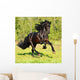 Black Frieasian horse runs gallop in freedom Wall Mural