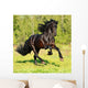 Black Frieasian horse runs gallop in freedom Wall Mural