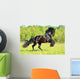 Black Frieasian horse runs gallop in freedom Wall Mural