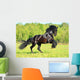 Black Frieasian horse runs gallop in freedom Wall Mural