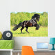 Black Frieasian horse runs gallop in freedom Wall Mural