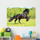 Black Frieasian horse runs gallop in freedom Wall Mural