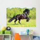 Black Frieasian horse runs gallop in freedom Wall Mural