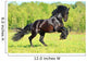 Black Frieasian horse runs gallop in freedom Wall Mural