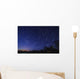 Star Trails Astronomy Wall Decal