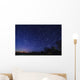 Star Trails Astronomy Wall Decal