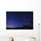 Star Trails Astronomy Wall Decal