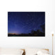 Star Trails Astronomy Wall Decal