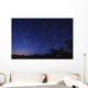 Star Trails Astronomy Wall Decal