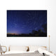Star Trails Astronomy Wall Decal