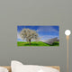 Solar Energy Panels Wall Decal