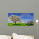 Solar Energy Panels Wall Decal