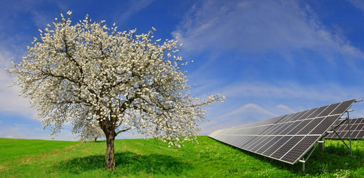 Solar Energy Panels Wall Decal