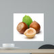 Hazelnut Wall Decal