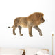 Male Lion Wall Decal