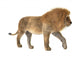 Male Lion Wall Decal