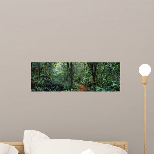 Jungle Wall Decal