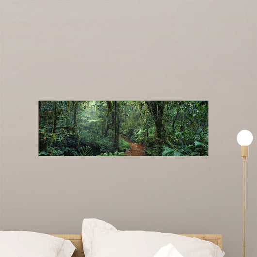 Jungle Wall Decal
