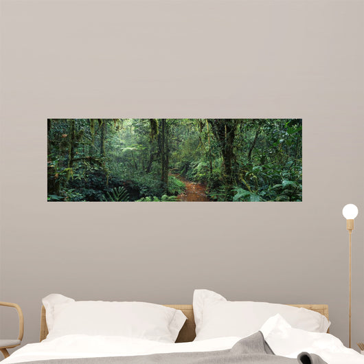 Jungle Wall Decal