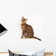 Bengal Cat Wall Decal
