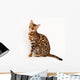 Bengal Cat Wall Decal