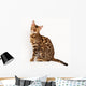 Bengal Cat Wall Decal