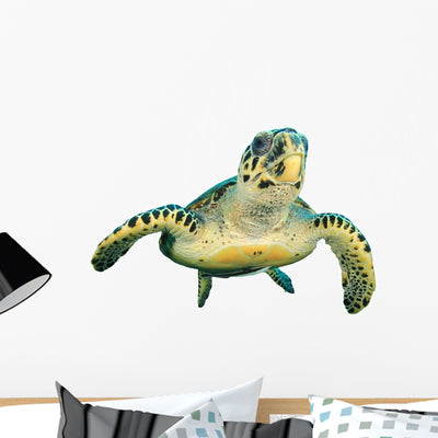 Hawksbill Sea Turtle Wall Decal shown on a wall