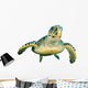 Hawksbill Sea Turtle Wall Decal