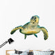 Hawksbill Sea Turtle Wall Decal