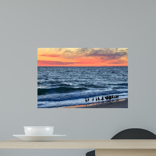 Willets and Sundown Surf Wall Decal