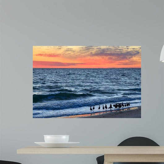Willets and Sundown Surf Wall Decal