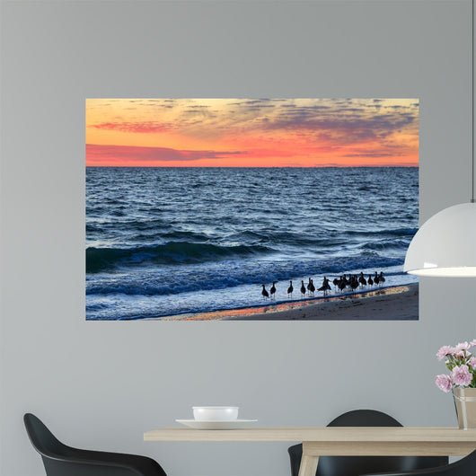 Willets and Sundown Surf Wall Decal