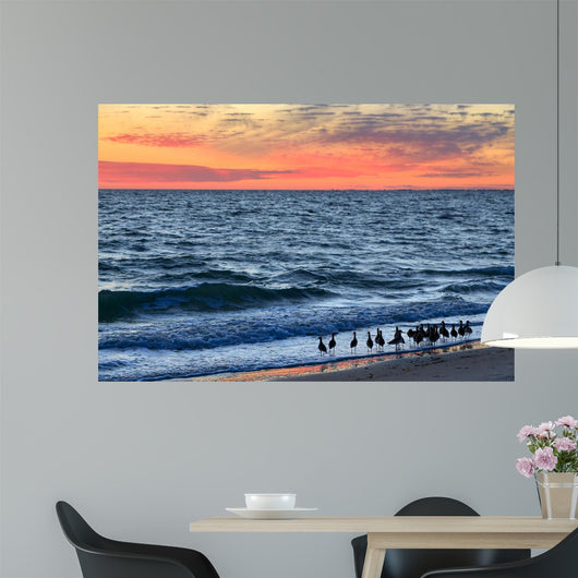 Willets and Sundown Surf Wall Decal