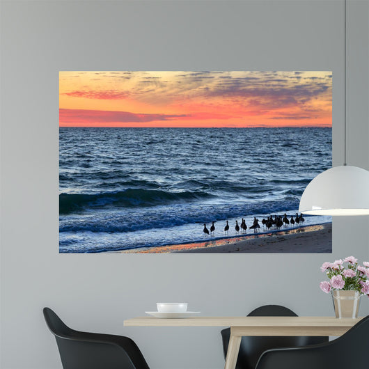 Willets and Sundown Surf Wall Decal