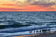 Willets and Sundown Surf Wall Decal