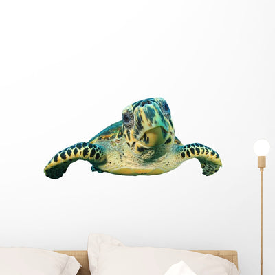 Hawksbill Sea Turtle Close-up Wall Decal shown on a wall