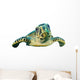 Hawksbill Sea Turtle Close-up Wall Decal