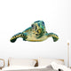 Hawksbill Sea Turtle Close-up Wall Decal