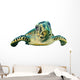 Hawksbill Sea Turtle Close-up Wall Decal