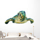 Hawksbill Sea Turtle Close-up Wall Decal